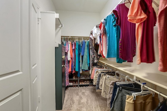 walk in closet with carpet flooring