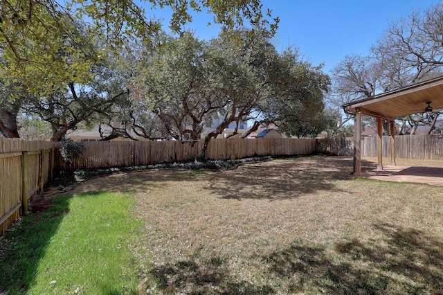 view of yard with a patio area and a fenced backyard