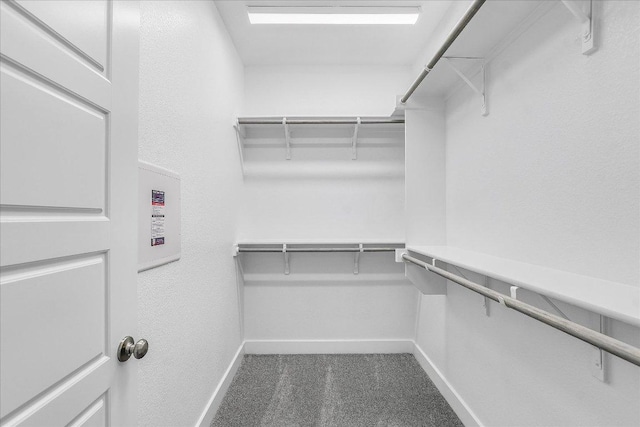 842 Nadal Path, Round Rock, TX 78664 - walk in closet featuring dark colored carpet