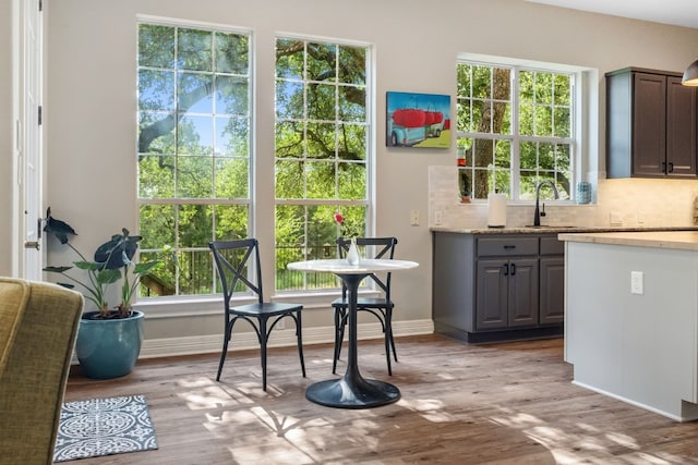 interior space featuring a sink, baseboards, and wood finished floors