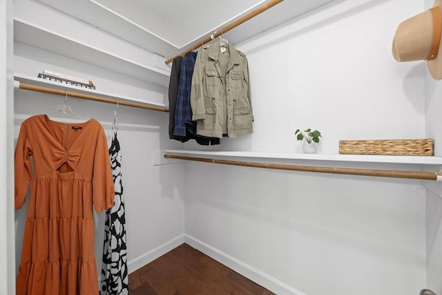 spacious closet with dark wood-style flooring