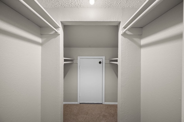 spacious closet featuring carpet floors