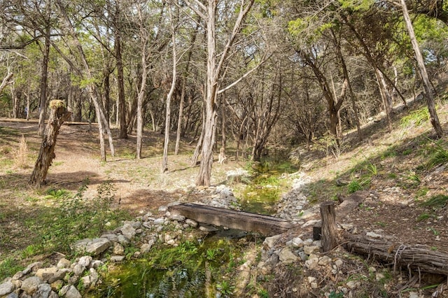 view of landscape