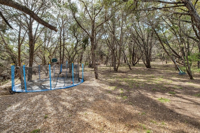 view of yard with a trampoline