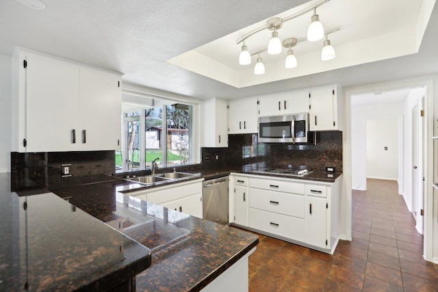 kitchen with white cabinets, decorative backsplash, a tray ceiling, stainless steel appliances, and a sink