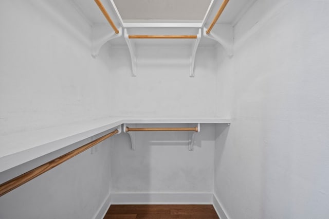 spacious closet featuring dark wood-type flooring