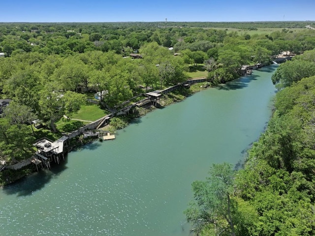 bird's eye view featuring a water view and a view of trees