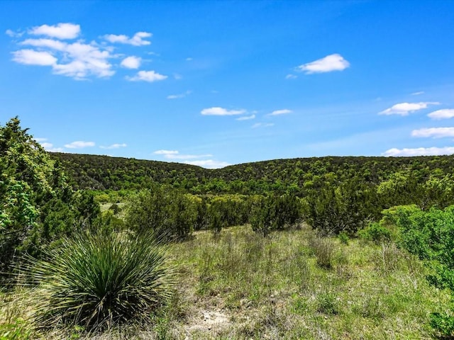 001 Red Hawk Rd, Wimberley TX, 78676 land for sale