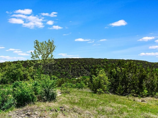 001 Red Hawk Rd, Wimberley, TX 78676 - photo 2