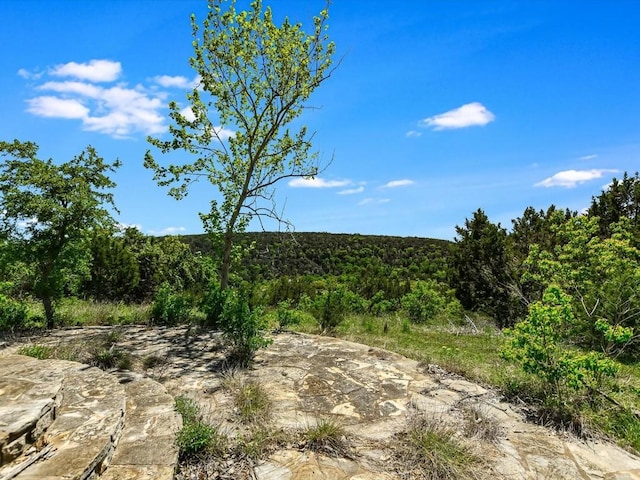 Listing photo 3 for 001 Red Hawk Rd, Wimberley TX 78676