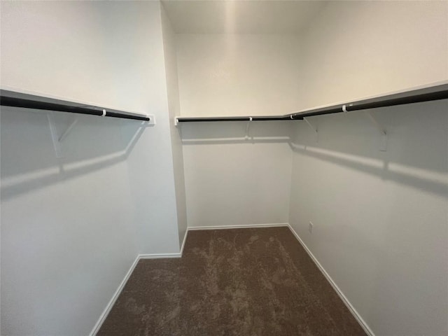 151 Cibolo Creek Loop, Bastrop, TX 78602 - spacious closet featuring carpet flooring