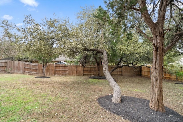 view of yard featuring a fenced backyard