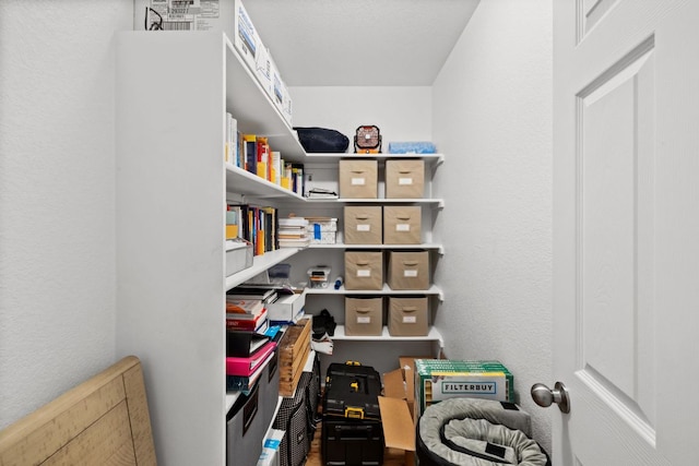 12102 Tolson Dr, Manor, TX 78653 - view of storage