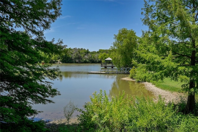 water view featuring a boat dock and a view of trees