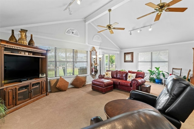 carpeted living room with a ceiling fan, track lighting, high vaulted ceiling, and crown molding