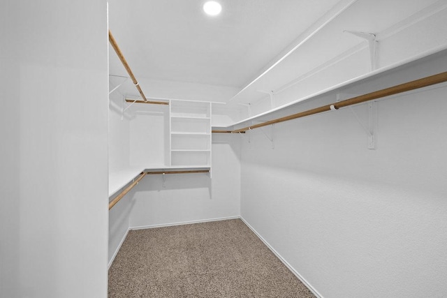 spacious closet featuring carpet floors