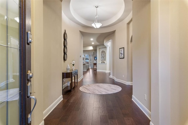 2717 Rain Song Dr, Leander, TX 78641 - foyer entrance featuring baseboards, wood finished floors, and a tray ceiling