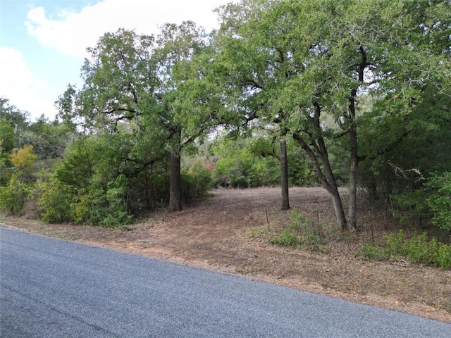 TBDLOT4C Angle Rd, Smithville, TX 78957