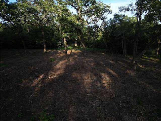 TBDLOT4C Angle Rd, Smithville, TX 78957