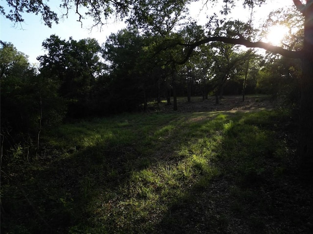 TBDLOT4C Angle Rd, Smithville, TX 78957