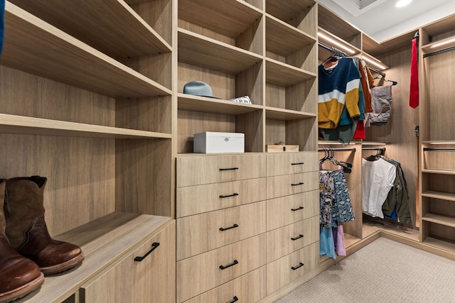 walk in closet featuring light colored carpet