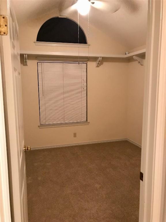 walk in closet with vaulted ceiling and carpet flooring