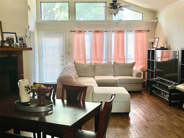 living room with a wealth of natural light, a fireplace, vaulted ceiling, and wood finished floors