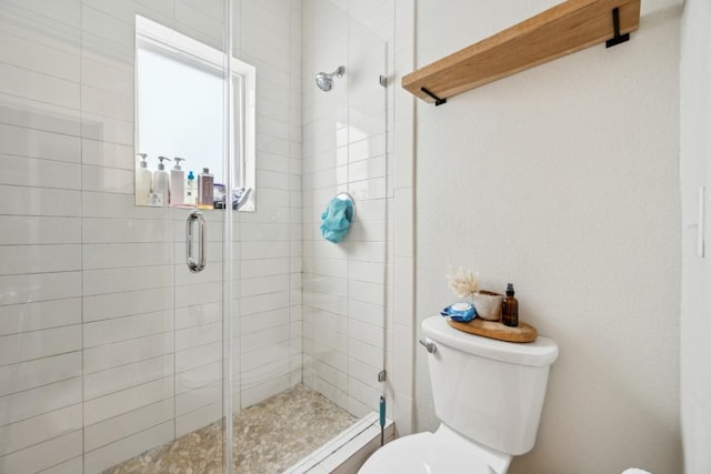 bathroom with a stall shower and toilet