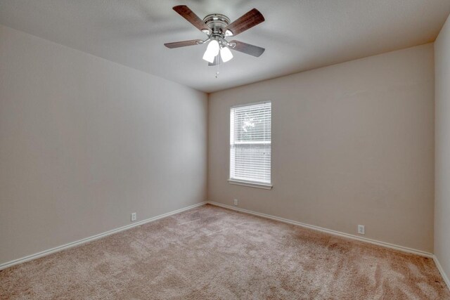 525 Golden Creek Dr, Round Rock, TX 78665 - photo 13