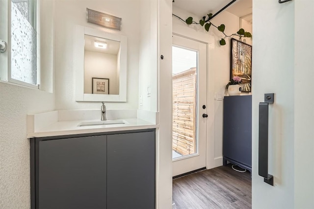 bathroom with wood finished floors and vanity