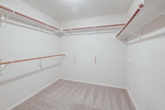 walk in closet with carpet floors