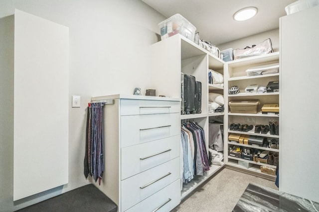 view of walk in closet