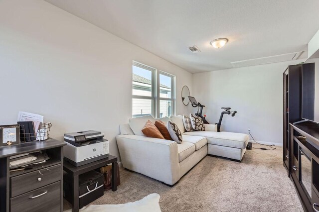 349 High Plains Pass, Liberty Hill, TX 78642 - living room with attic access and carpet