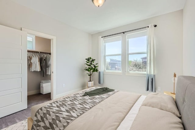 bedroom featuring a closet, carpet, a walk in closet, and baseboards