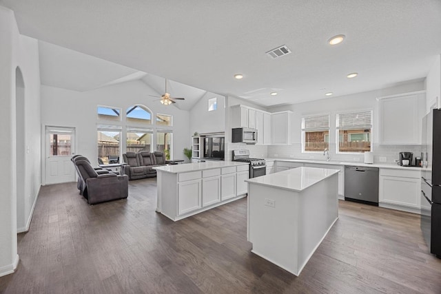 kitchen featuring open floor plan, stainless steel appliances, a wealth of natural light, and white cabinets