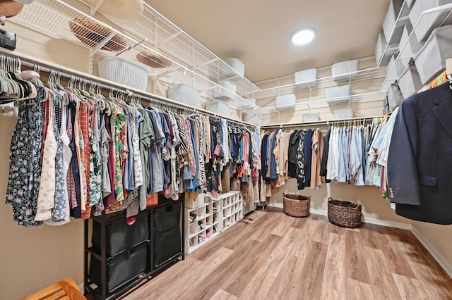 walk in closet featuring wood finished floors