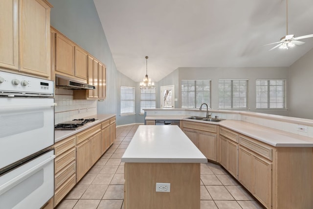 kitchen featuring under cabinet range hood, stainless steel appliances, a kitchen island, a sink, and light brown cabinetry