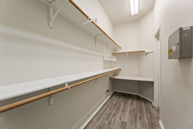 walk in closet featuring electric panel and wood finished floors