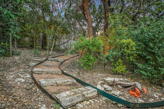 5908 Taylor Draper Cv, Austin, TX 78759 - view of yard