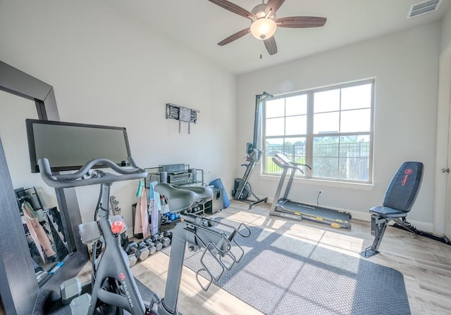 227 Dally Ct, Dripping Springs, TX 78620 - workout room featuring wood finished floors, a ceiling fan, and baseboards