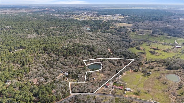 231 Hoffman Rd, Bastrop TX, 78602 land for sale