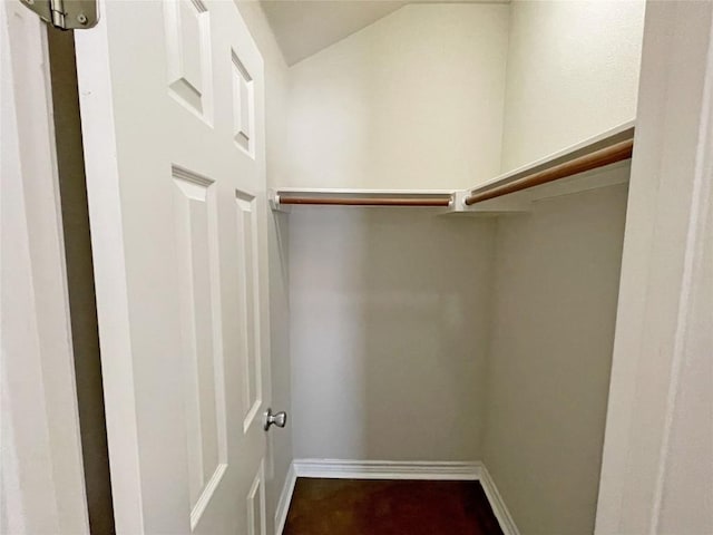 spacious closet featuring lofted ceiling