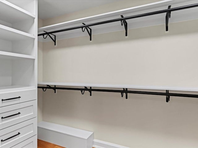 view of spacious closet