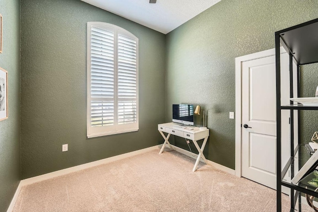 office with a textured wall, carpet flooring, and baseboards