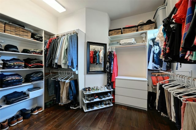 walk in closet featuring dark wood-style flooring