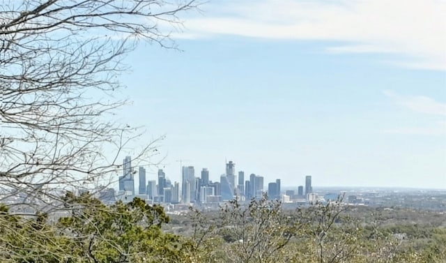 property's view of city