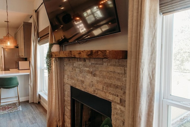 details with freestanding refrigerator, wood finished floors, and a fireplace