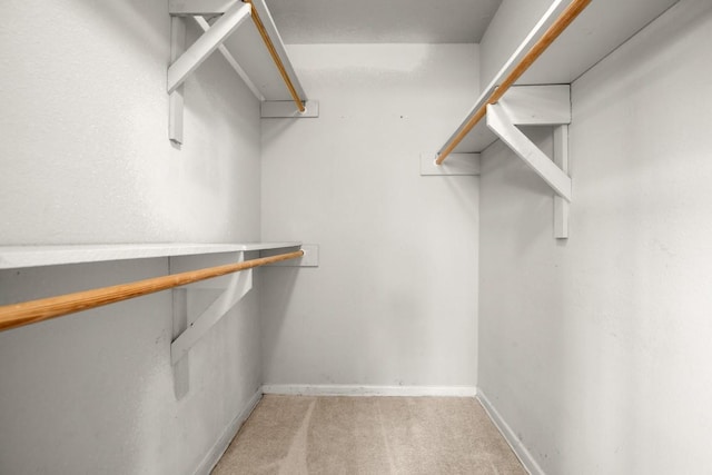 611 Virginia Dr, Round Rock, TX 78664 - walk in closet with light colored carpet