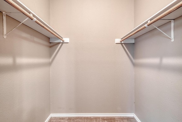 walk in closet featuring carpet