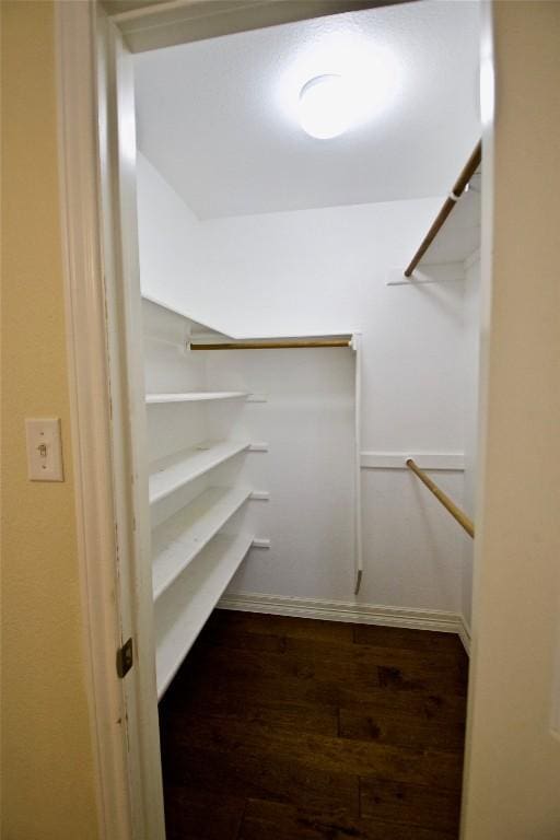 walk in closet featuring wood finished floors